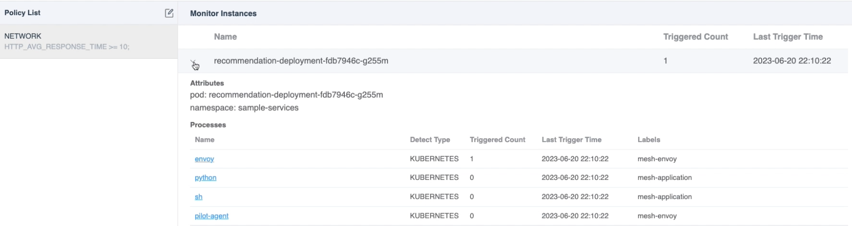 Figure 5: Continuous Profiling Monitoring Processes